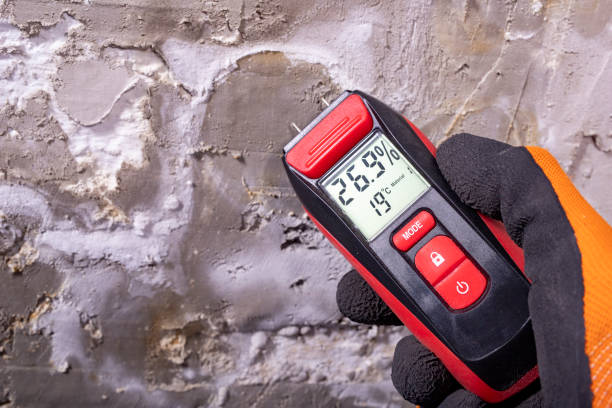 Best Black Mold Remediation in Winnetka, IL